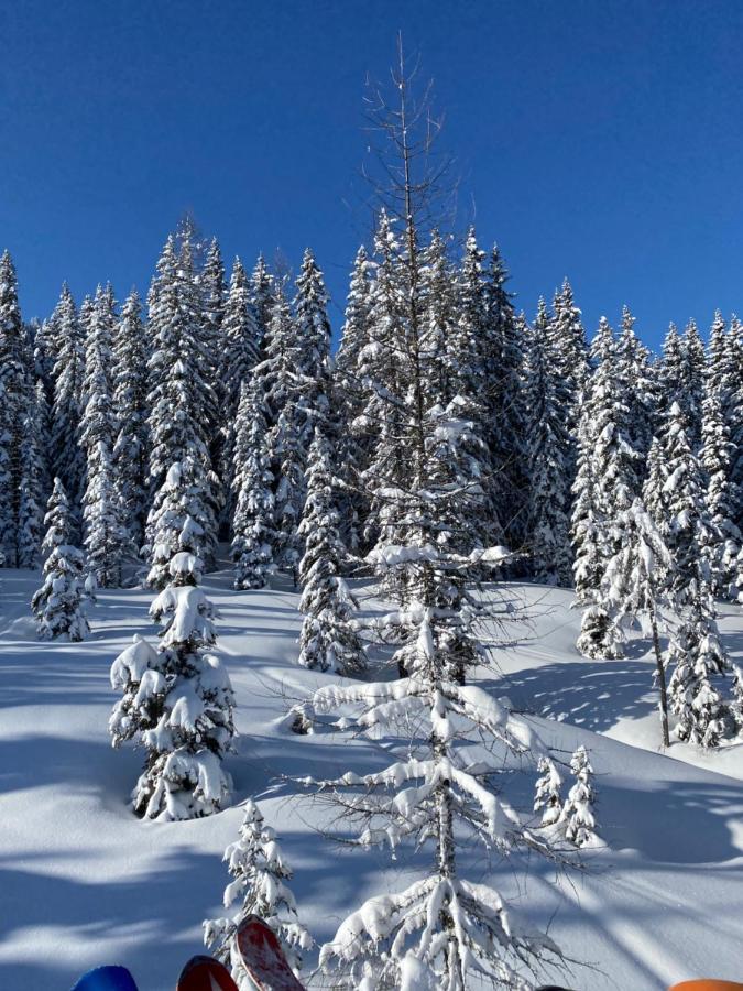 Appartements By Chalet Reiteralm -Sommercard 斯拉德明 外观 照片