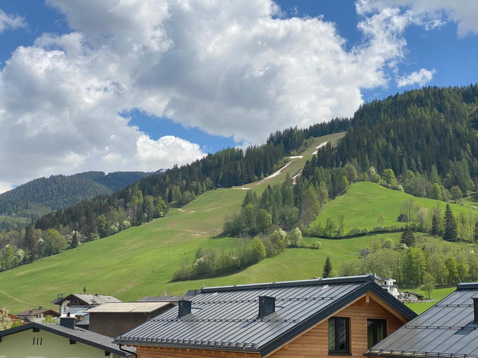 Appartements By Chalet Reiteralm -Sommercard 斯拉德明 外观 照片