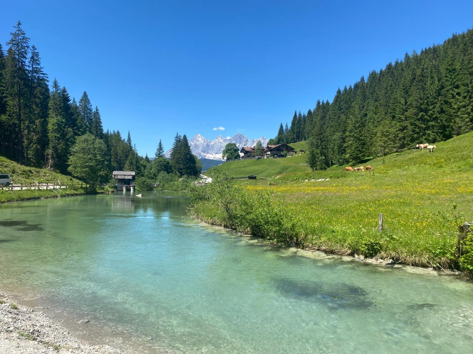 Appartements By Chalet Reiteralm -Sommercard 斯拉德明 外观 照片