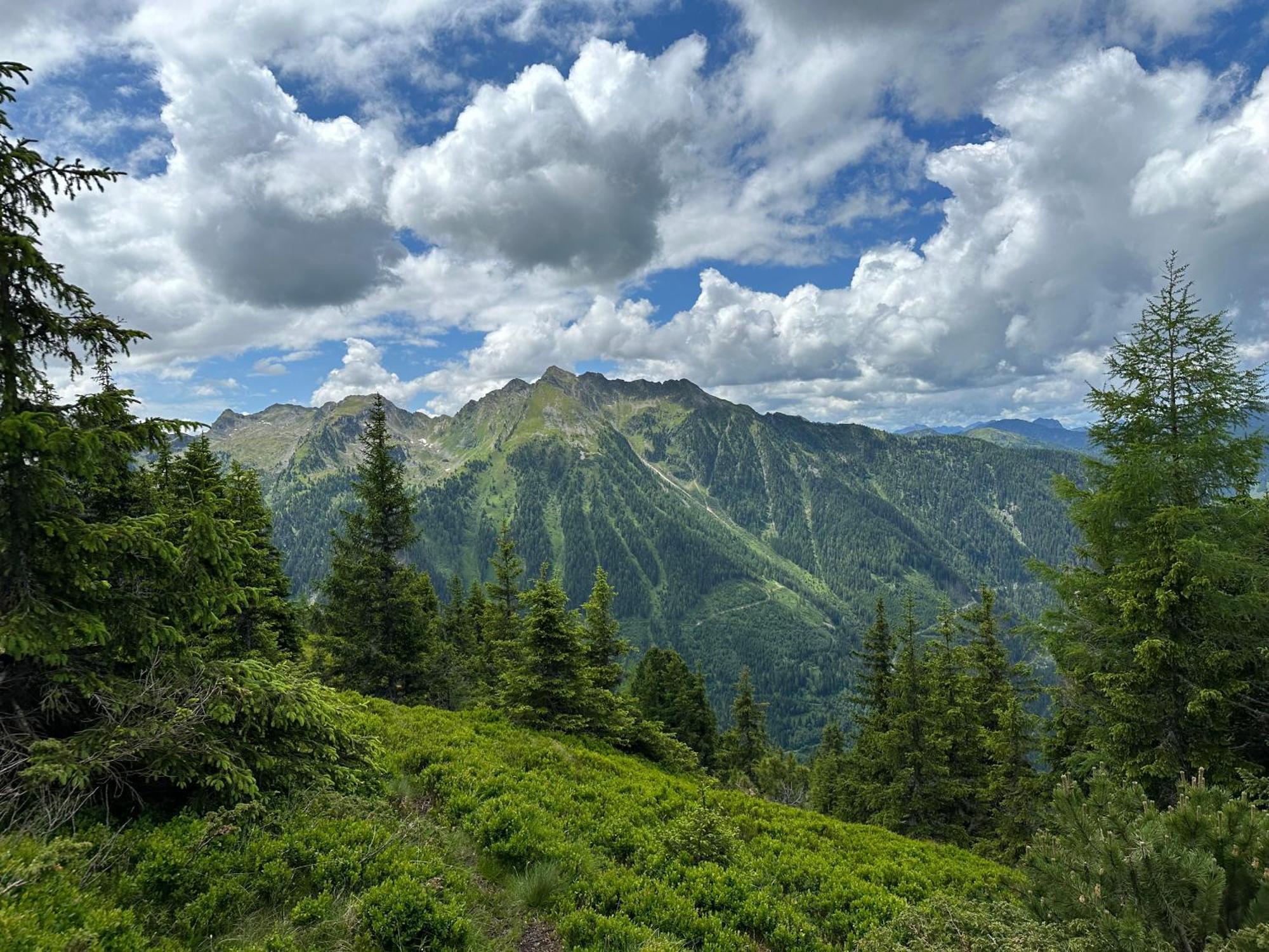 Appartements By Chalet Reiteralm -Sommercard 斯拉德明 外观 照片