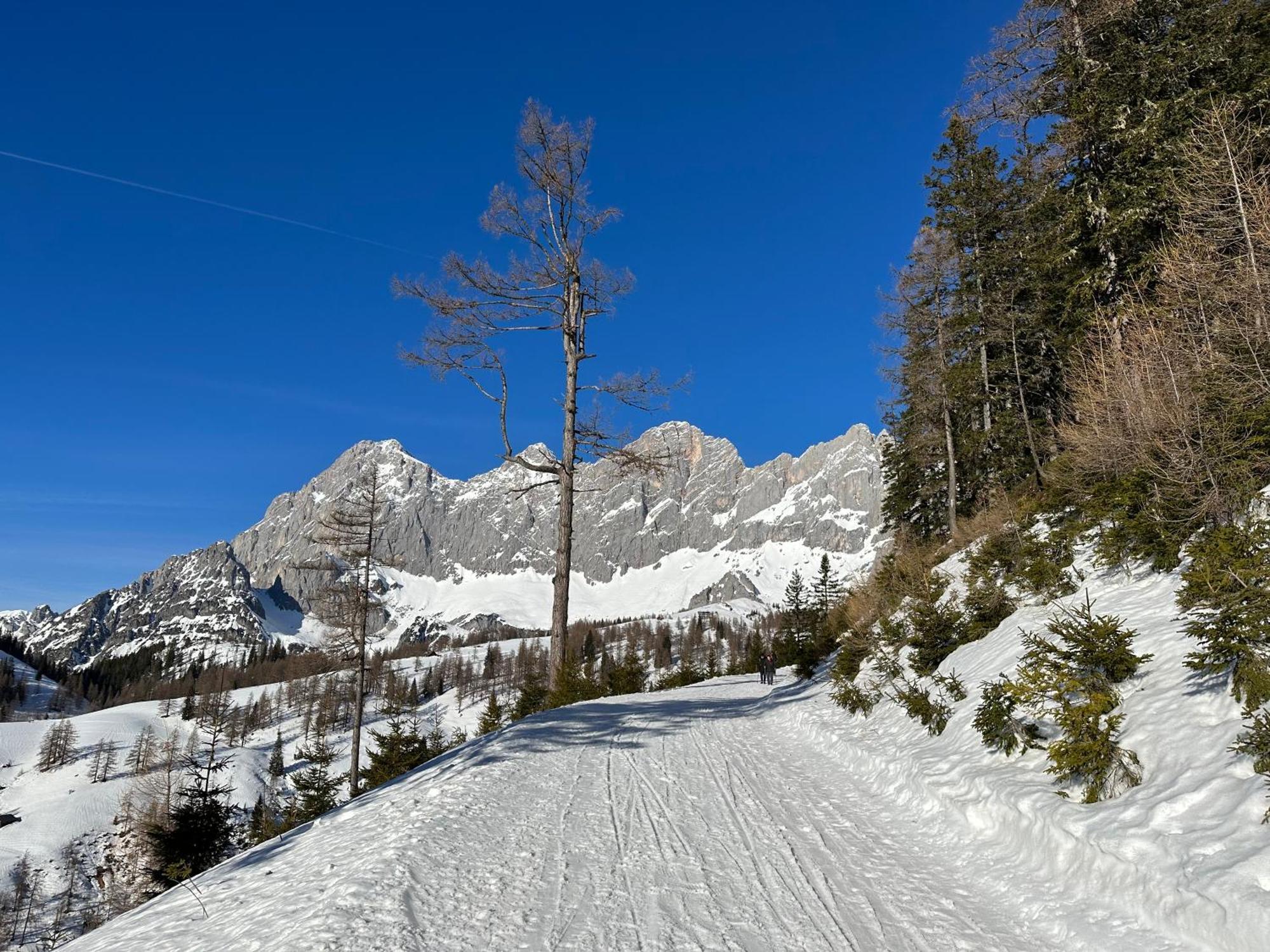 Appartements By Chalet Reiteralm -Sommercard 斯拉德明 外观 照片